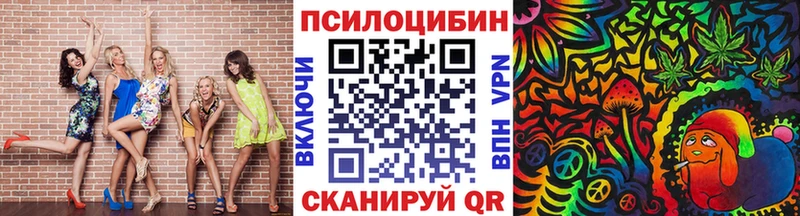 что такое   kraken зеркало  Псилоцибиновые грибы MAGIC MUSHROOMS  Щёлкино 