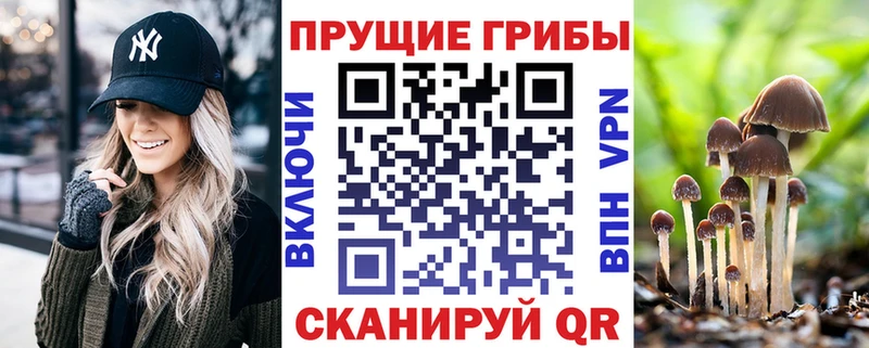 Псилоцибиновые грибы MAGIC MUSHROOMS Щёлкино